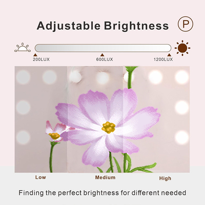 Starlight Lichtgevende Bluetooth-luidspreker Dressing Mirror met zacht licht